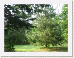 Grounds Forest & Stream Cottages, Murray Hbr * 2592 x 1944 * (2.48MB)